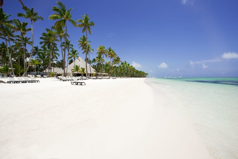 Barcelo Bavaro Beach - Adults Only 8