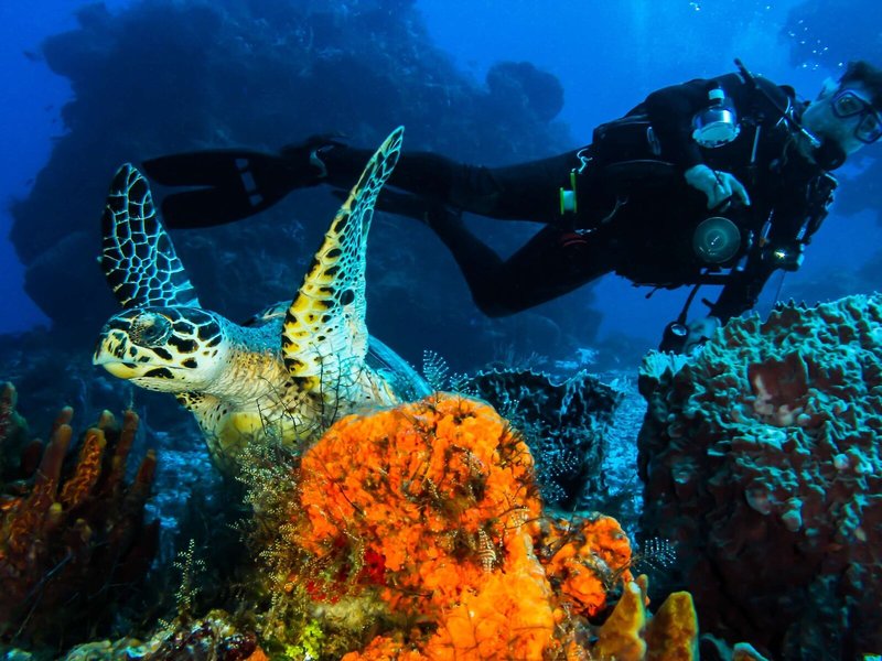 Cozumel Palace 34