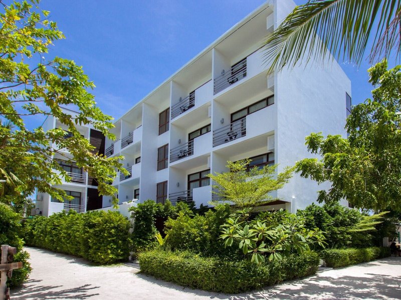 Plumeria Maldives 1