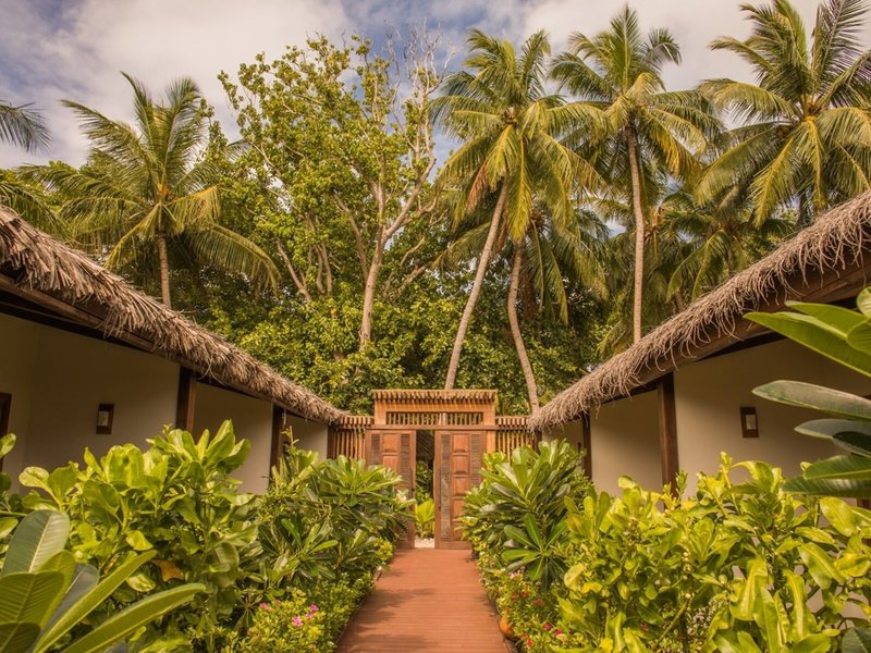 Plumeria Maldives 4