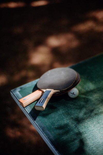 Inselhotel Faakersee 36