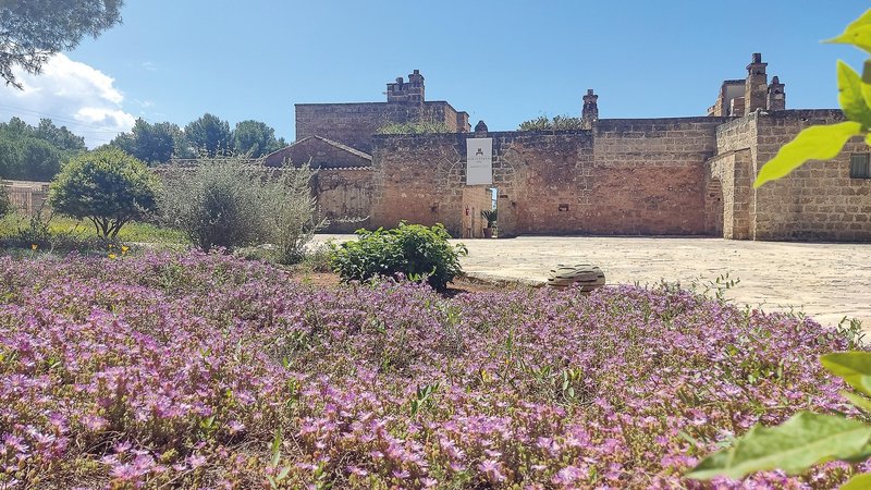 Masseria Relais Santa Teresa 12