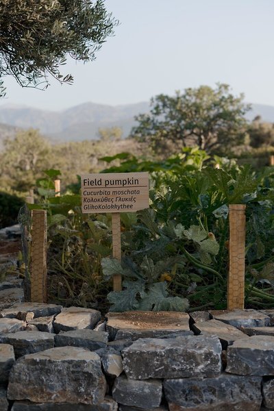 Village Heights Golf Resort 49