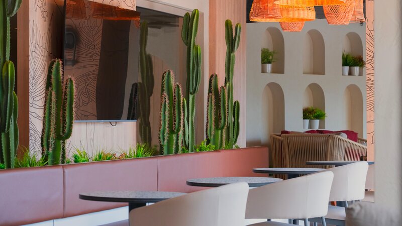 Kleopatra Dreams Beach 156