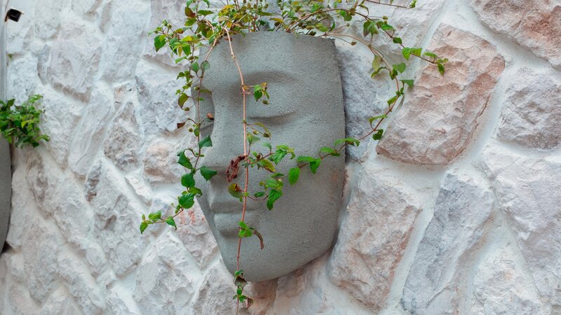 Kleopatra Dreams Beach 379