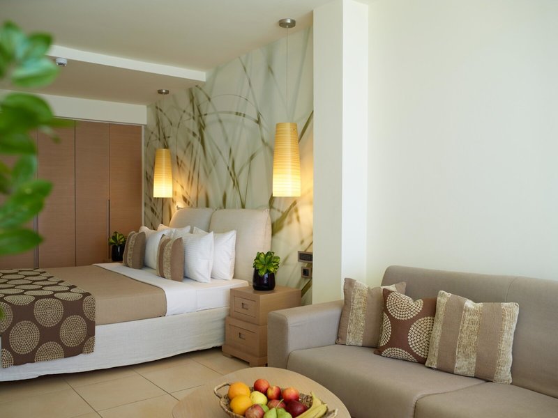 Ixian Grand & All Suites 49 - Room Example