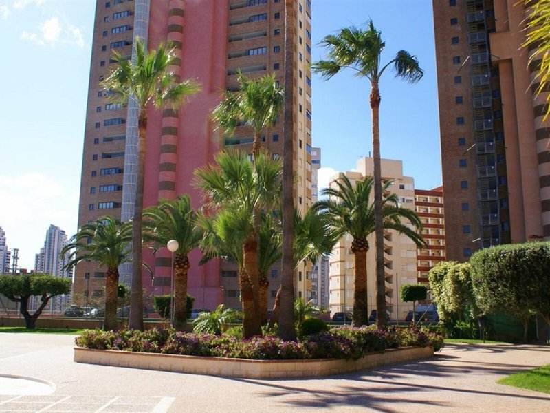 Paraiso 10 1