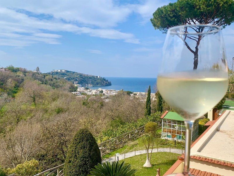 La Pergola Hotel Terme & Villa Flavio 8