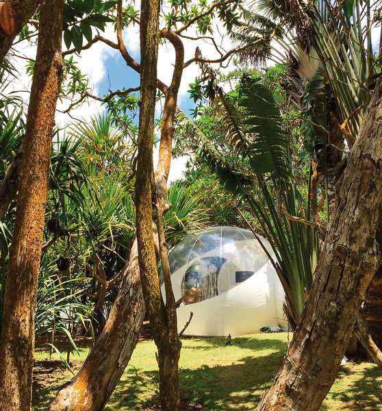 Bubble Lodge 1