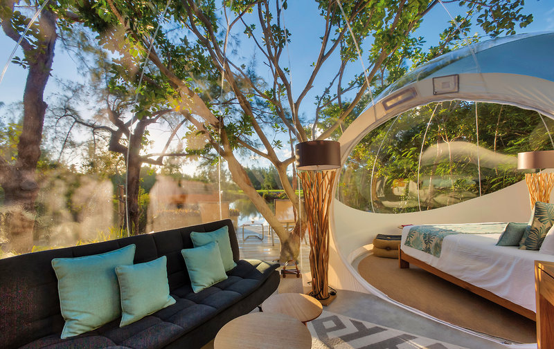 Bubble Lodge 3