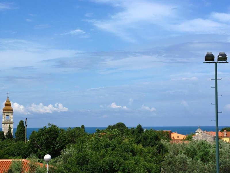 Villa Letan 6 - Landscape