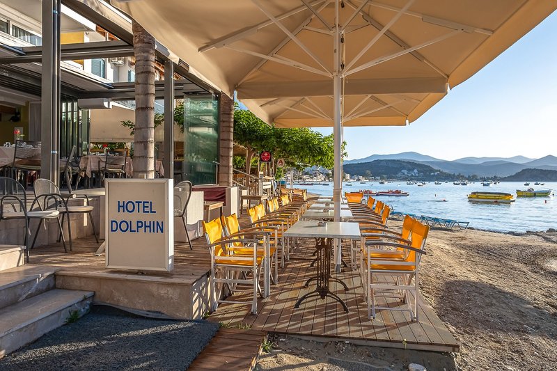 Dolfin 10