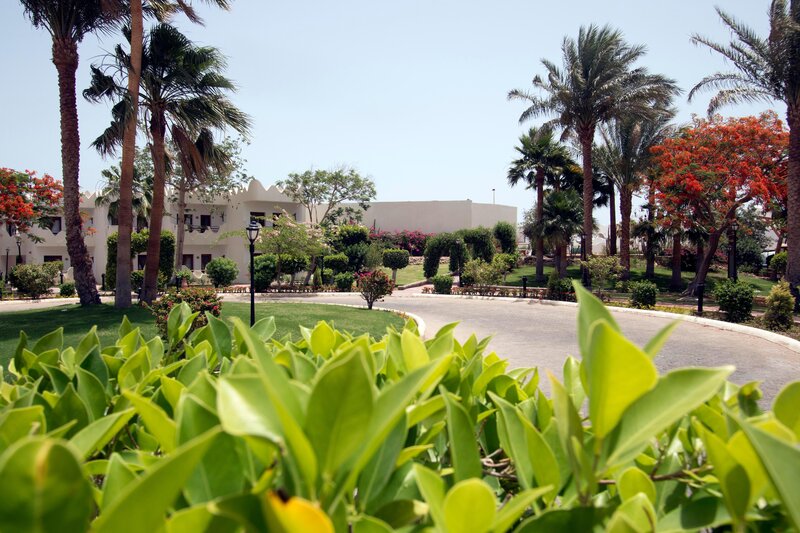 Swiss Inn Resort Dahab 37