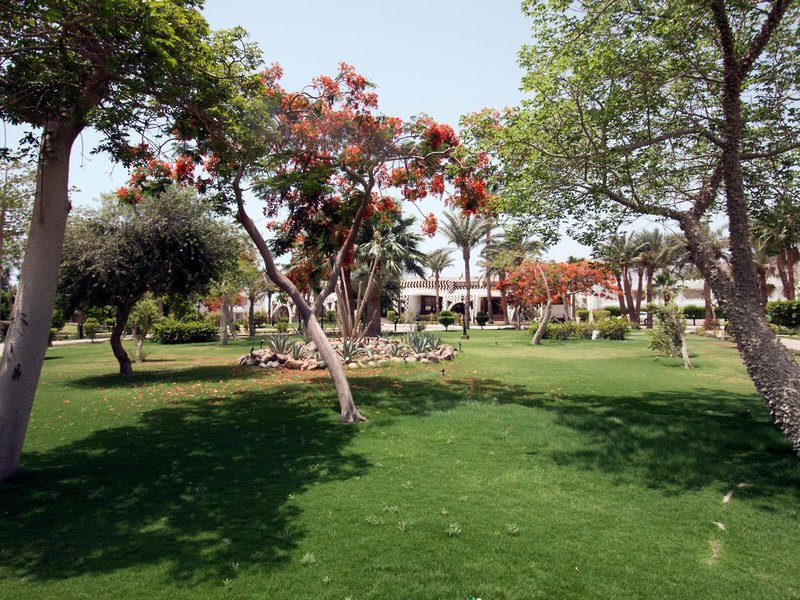 Swiss Inn Resort Dahab 2