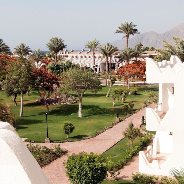 Swiss Inn Resort Dahab 3