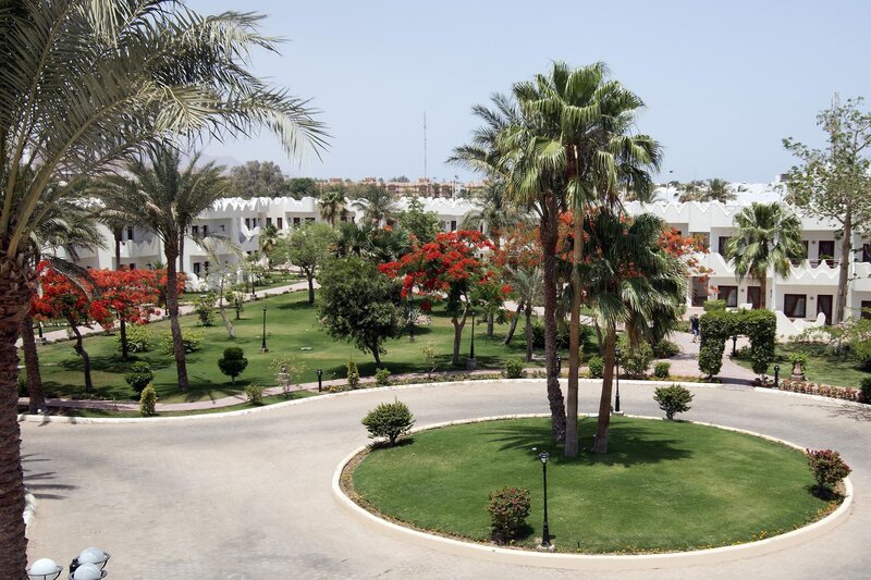 Swiss Inn Resort Dahab 3