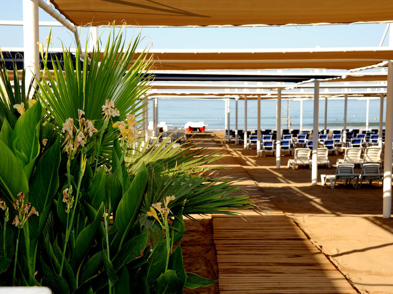 Dream Family Club 3 - Beach