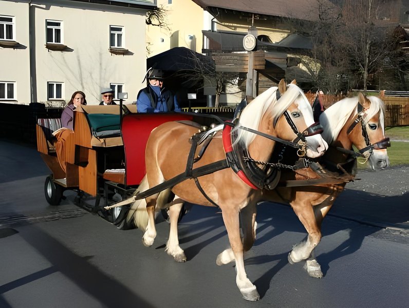 Gasthof Walcher 3