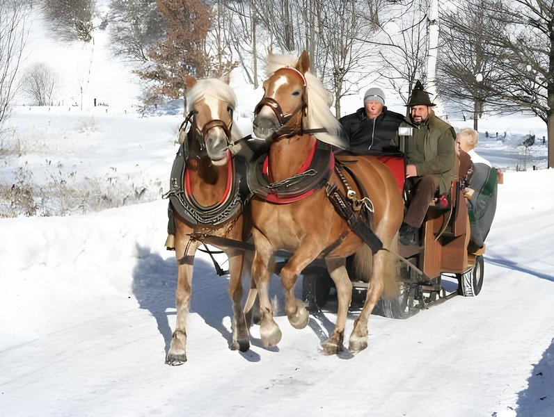 Gasthof Walcher 4