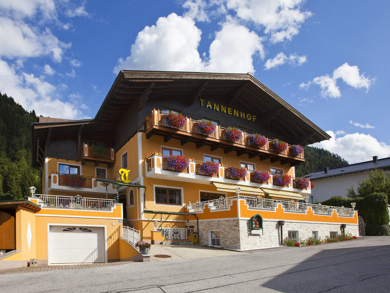 Tannenhof Flachau 2