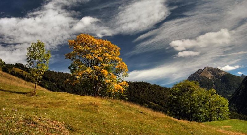 Hotel Schönauer Hof 1