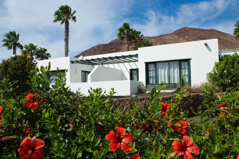 Palmeras Garden 2