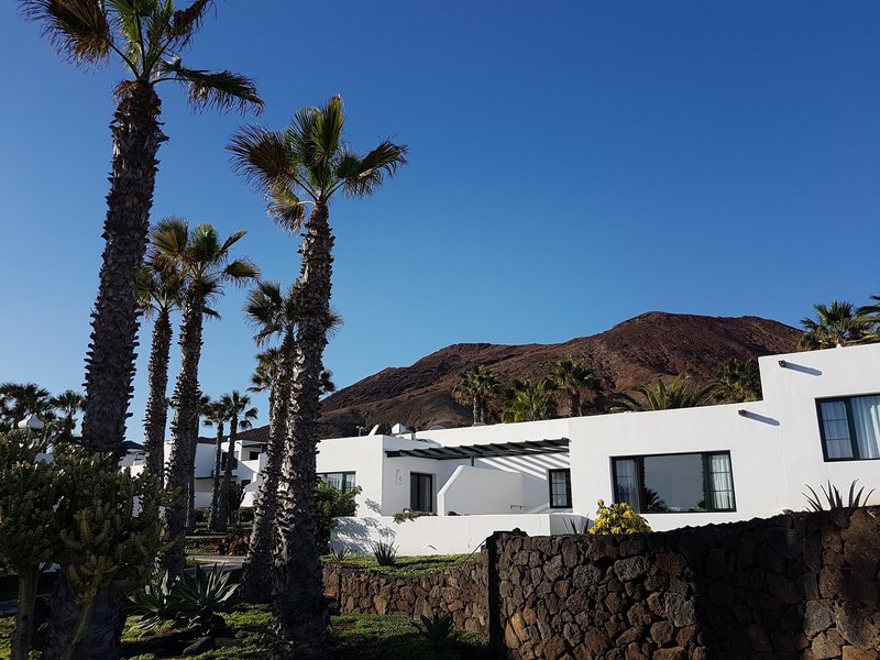 Palmeras Garden 3