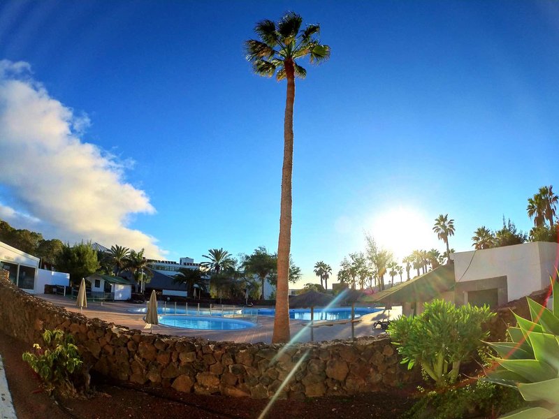 Palmeras Garden 3