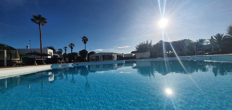 Palmeras Garden 5