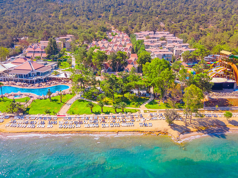 THE ROXY Luxury Nature  1