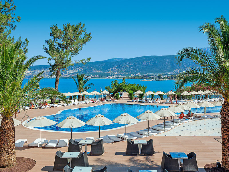 THE ROXY Luxury Nature  13