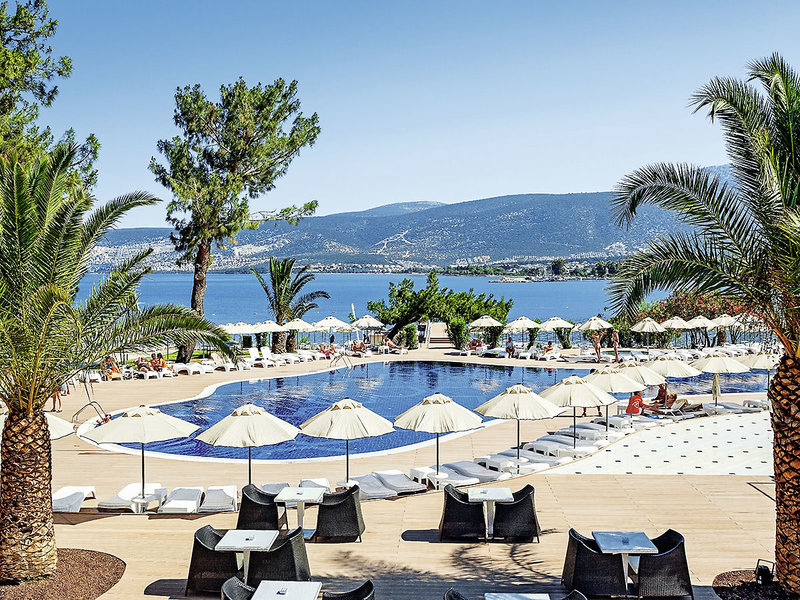 THE ROXY Luxury Nature  23