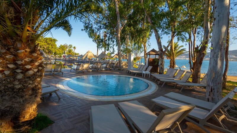 THE ROXY Luxury Nature  31