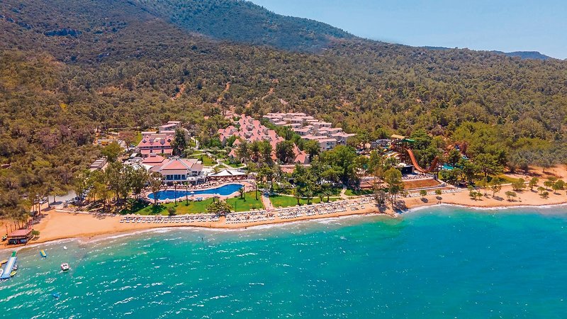 THE ROXY Luxury Nature  1