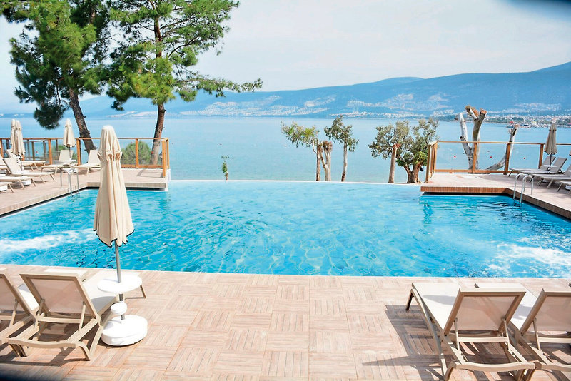 THE ROXY Luxury Nature  11