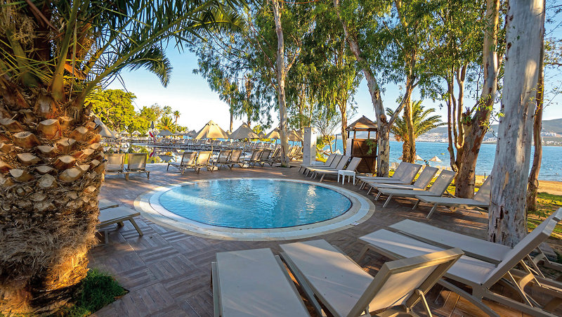 THE ROXY Luxury Nature  13