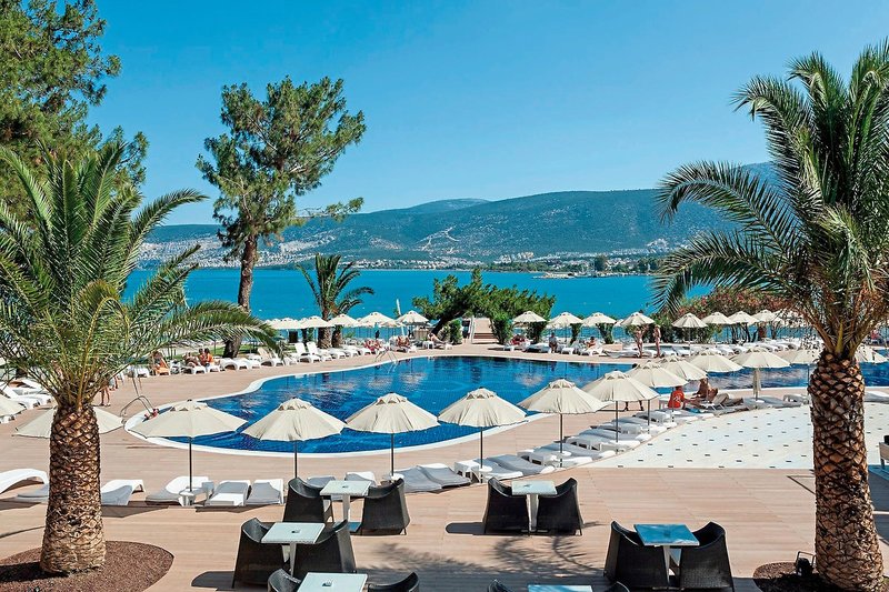 THE ROXY Luxury Nature  17