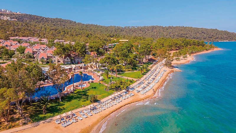 THE ROXY Luxury Nature  18