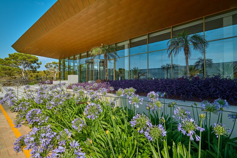 Hipotels Playa de Palma Palace 45