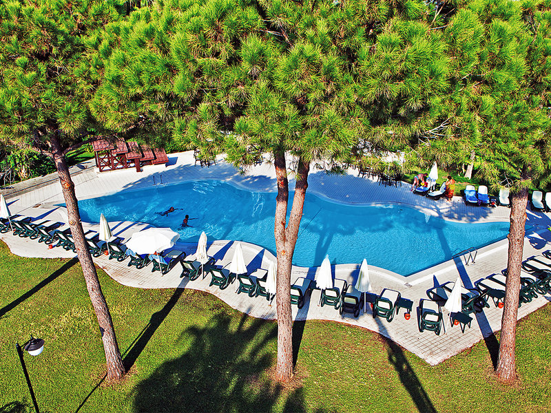 Alva Donna World Palace 12