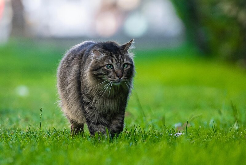 Hotel Sailor's Beach Club 247