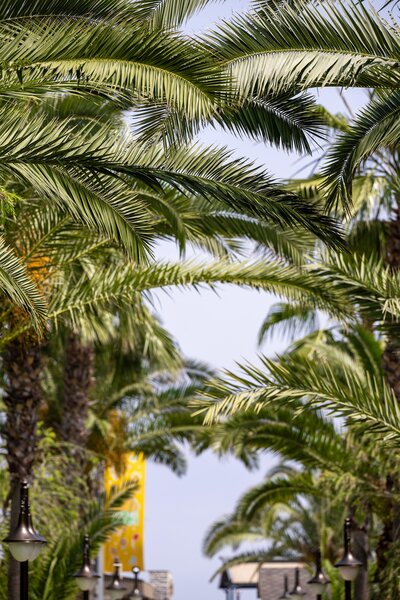 Sailor´s Beach Club 198