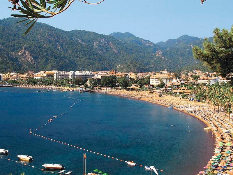 Hotel Palmea 6