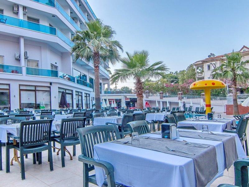 Hotel Palmea 24