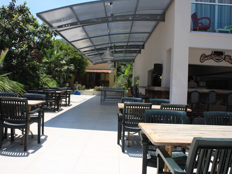 Hotel Palmea 31