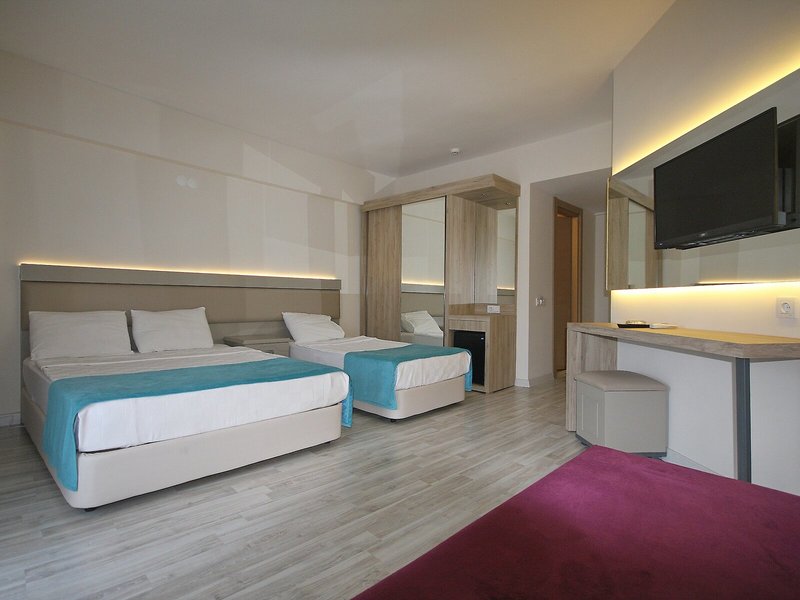 Hotel Palmea 36