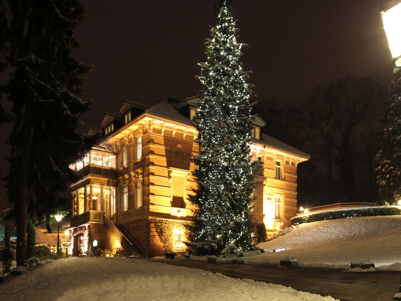 Villa Hammerschmiede 11