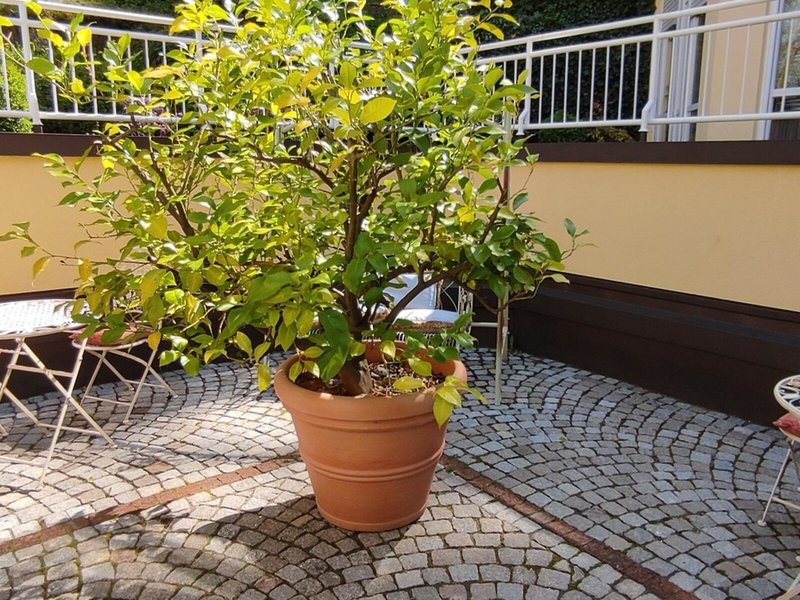 Villa Hammerschmiede 29