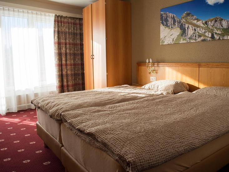 Alpine Classic Hotel Leysin 2