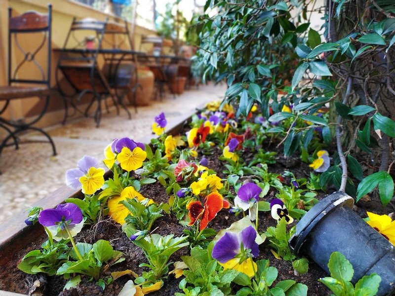 Antea Palace Hotel & Spa 6